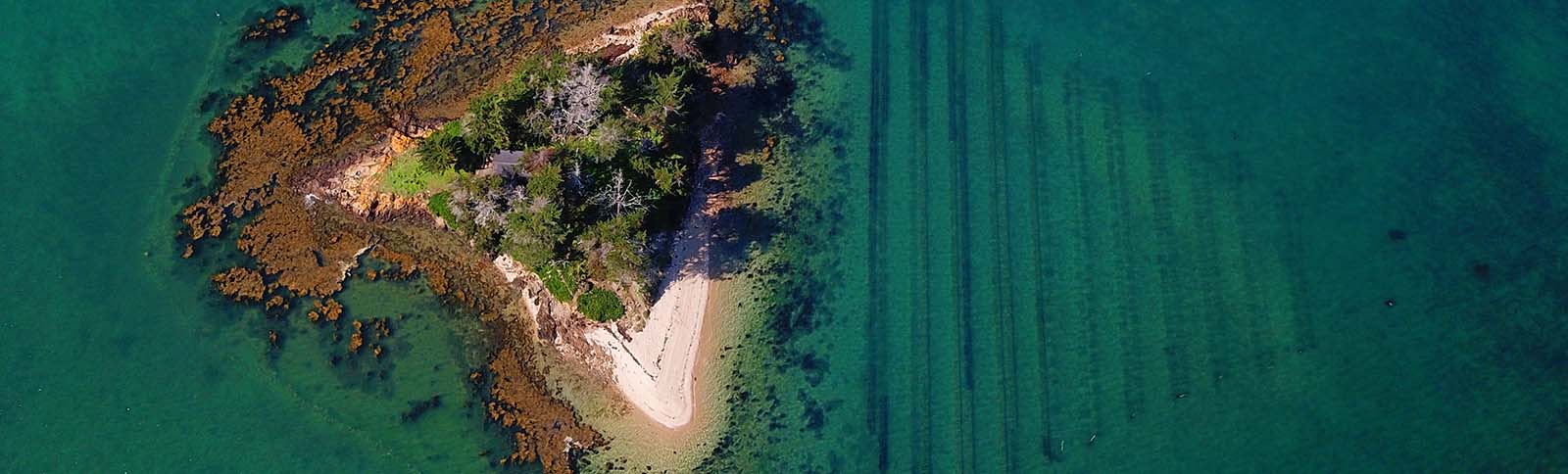 Un petit bout de l'île d'Arz, une petite île merveilleuse accessible depuis Séné